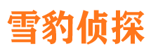 小店侦探公司